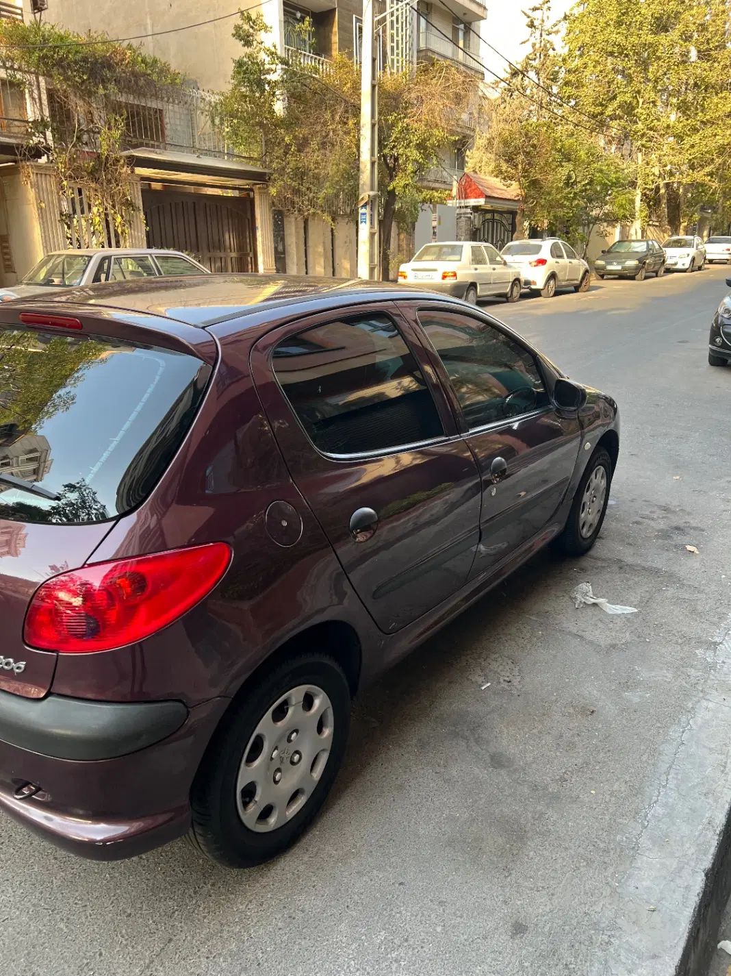 پژو 206 تیپ 5 - 1393