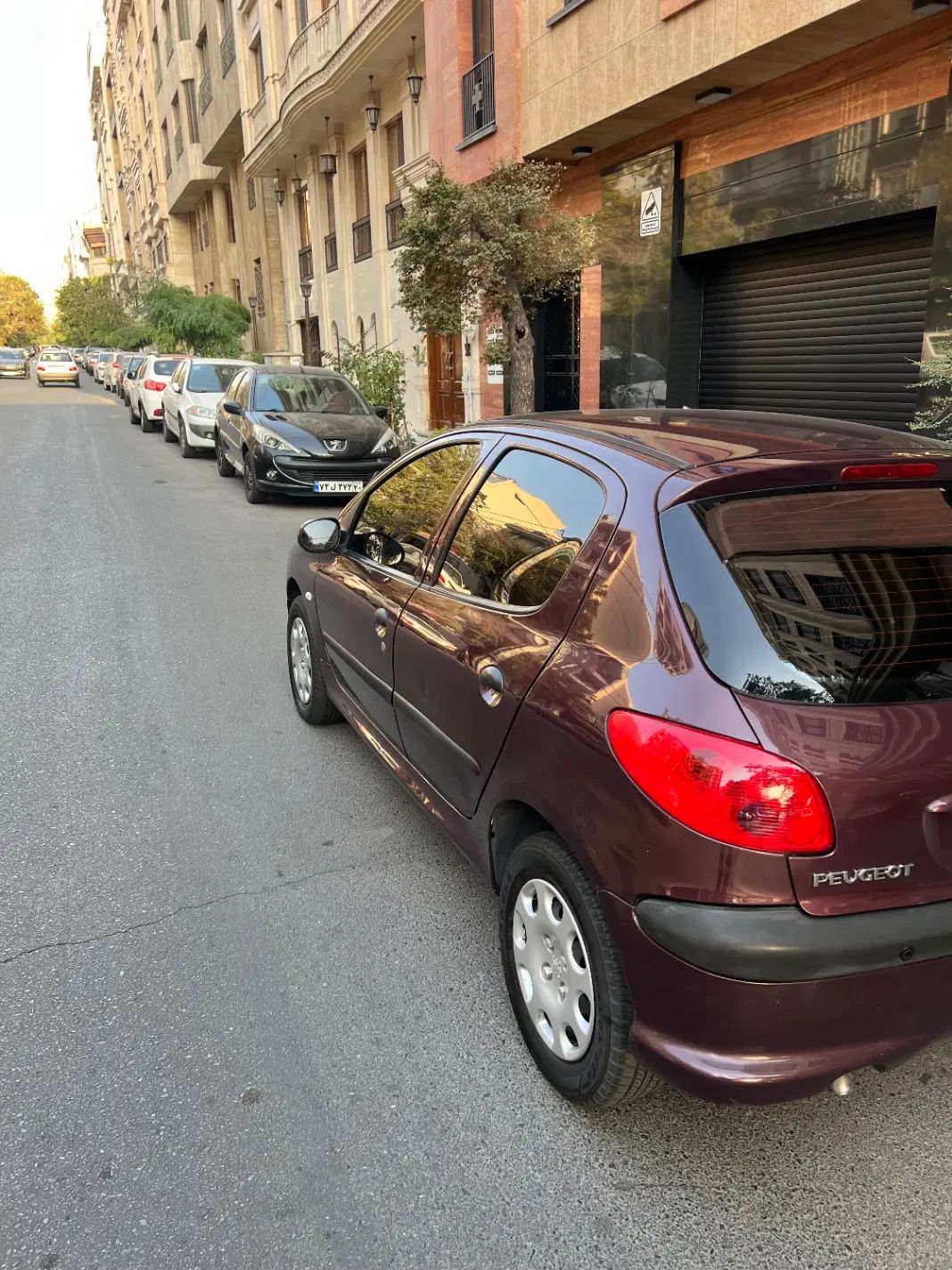 پژو 206 تیپ 5 - 1393