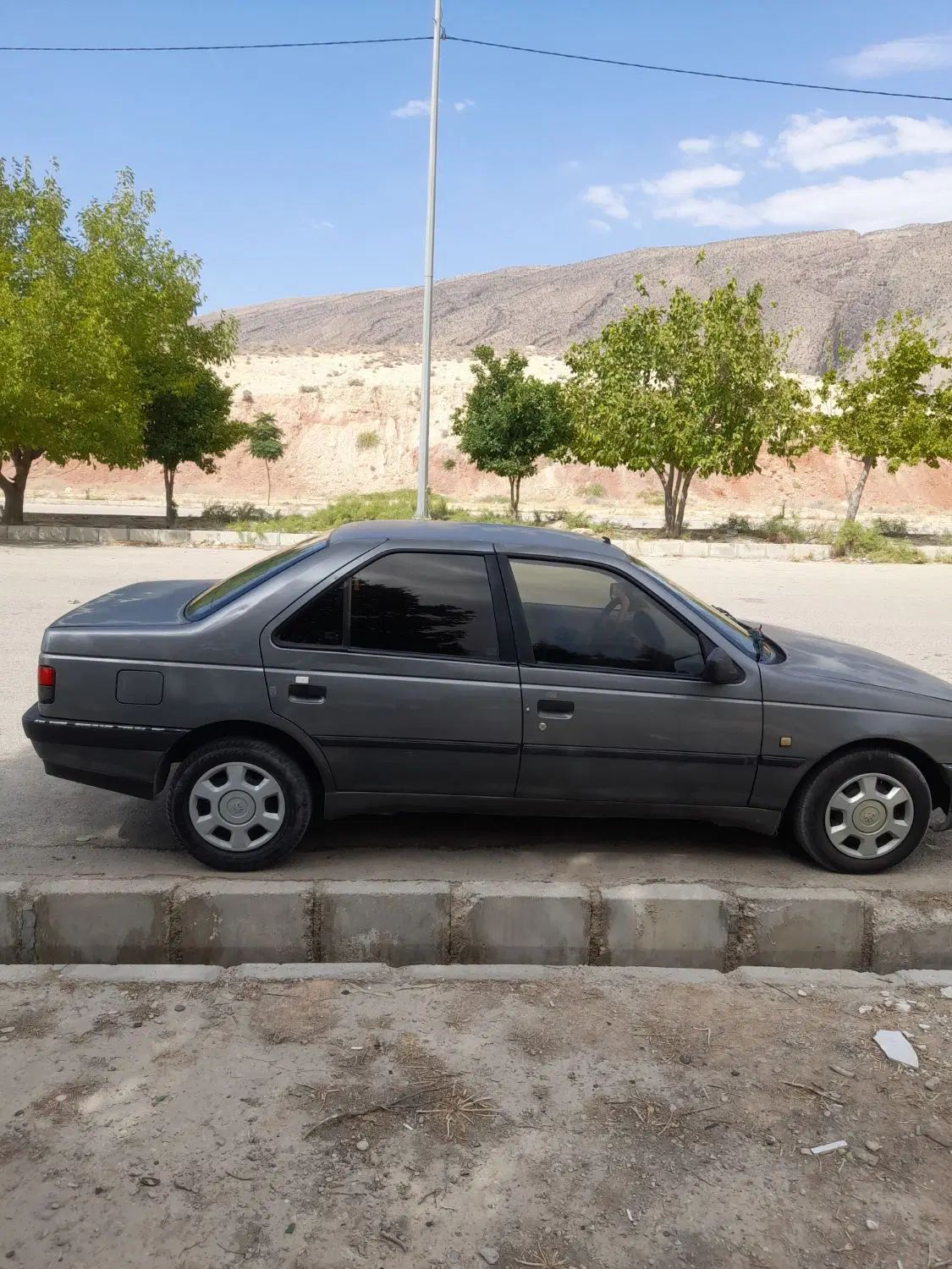 پژو 405 GLX - 1391