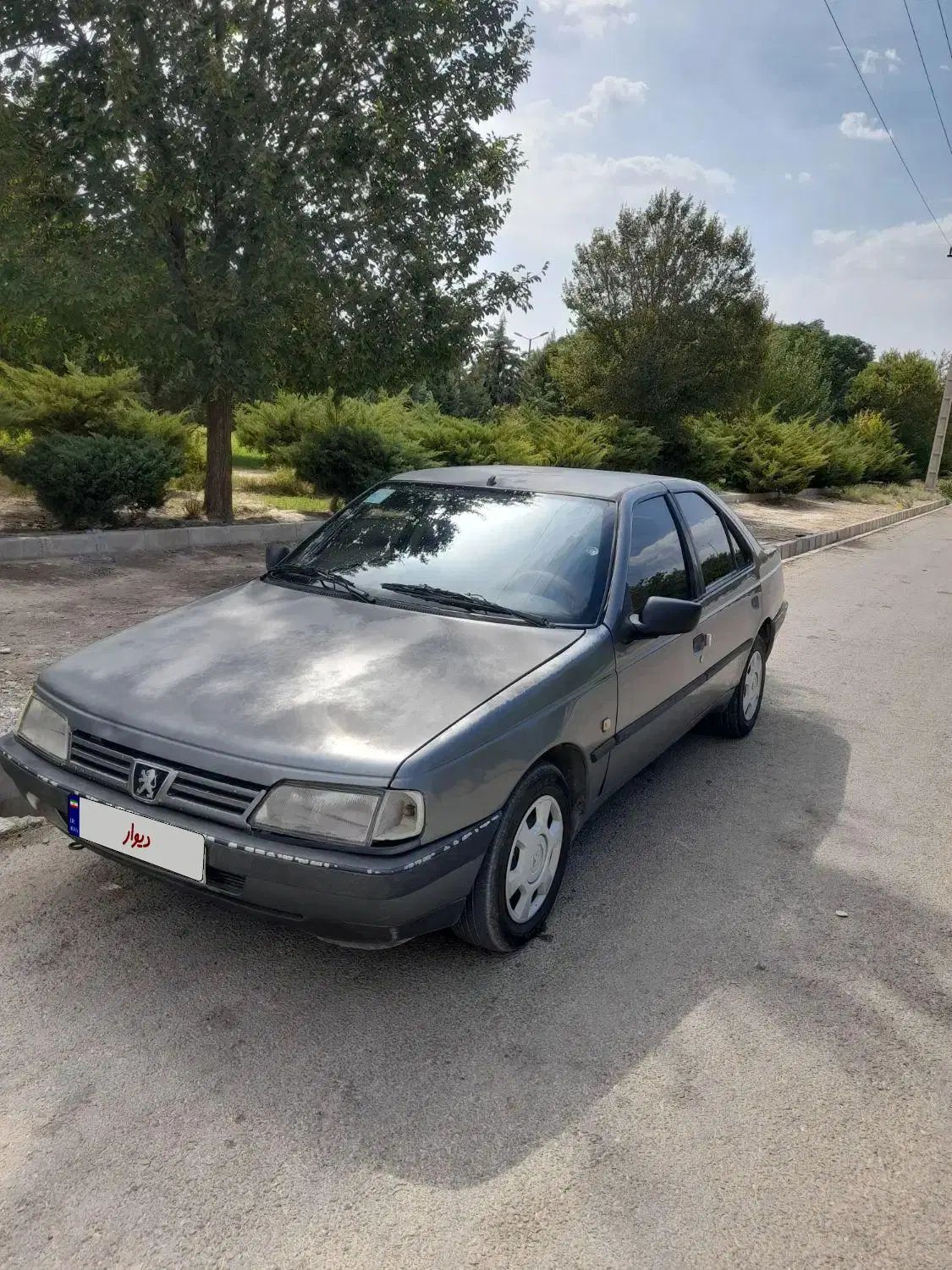 پژو 405 GLX - 1391