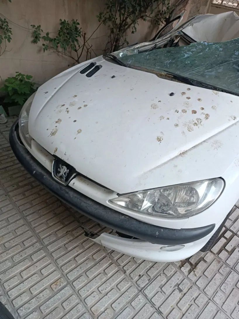 پژو ۲۰۶ صندوق دار v8 - 1391