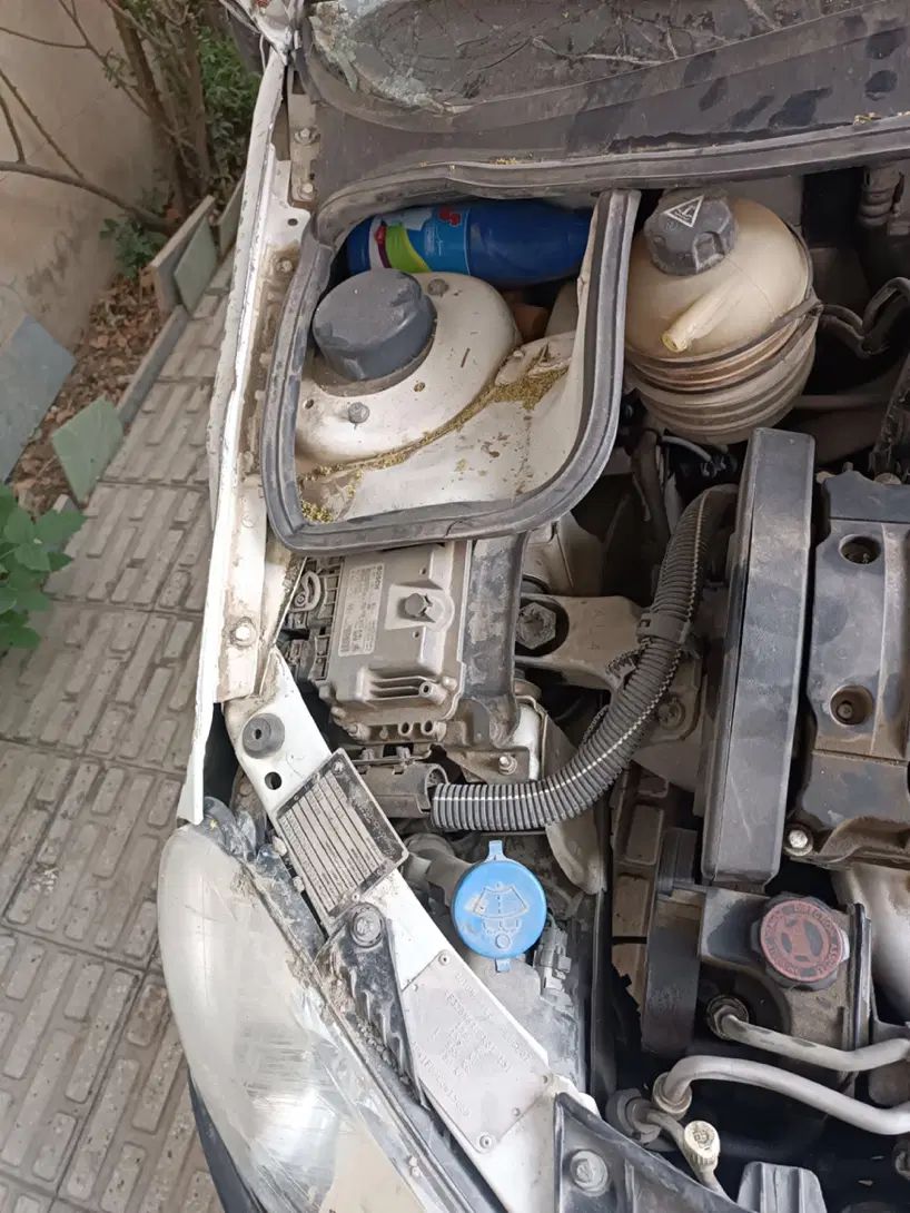 پژو ۲۰۶ صندوق دار v8 - 1391
