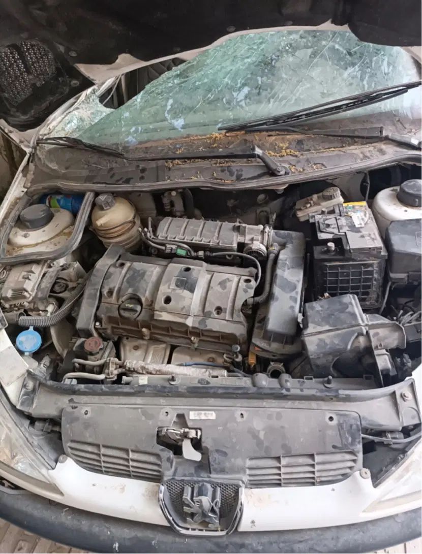 پژو ۲۰۶ صندوق دار v8 - 1391