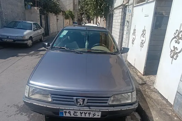 پژو 405 GLX - دوگانه سوز - 1395