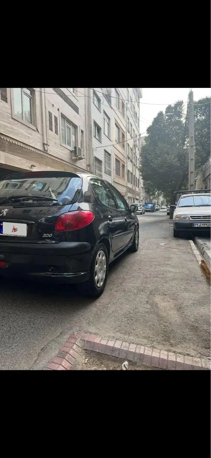 پژو 206 تیپ 5 - 1393