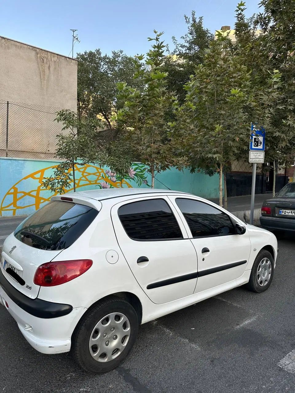 پژو 206 تیپ 5 - 1395