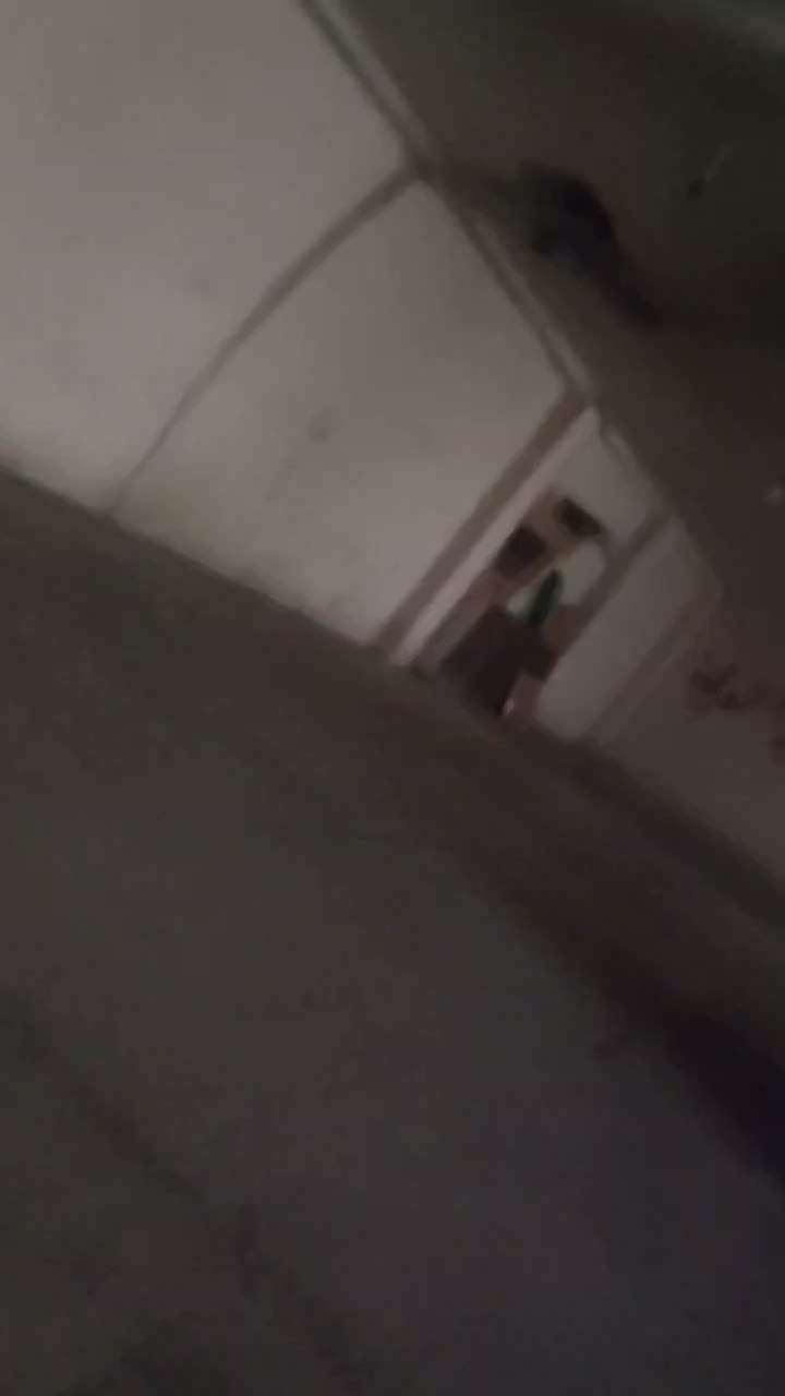 خودرو پژو، پارس آگهی ann_20309954