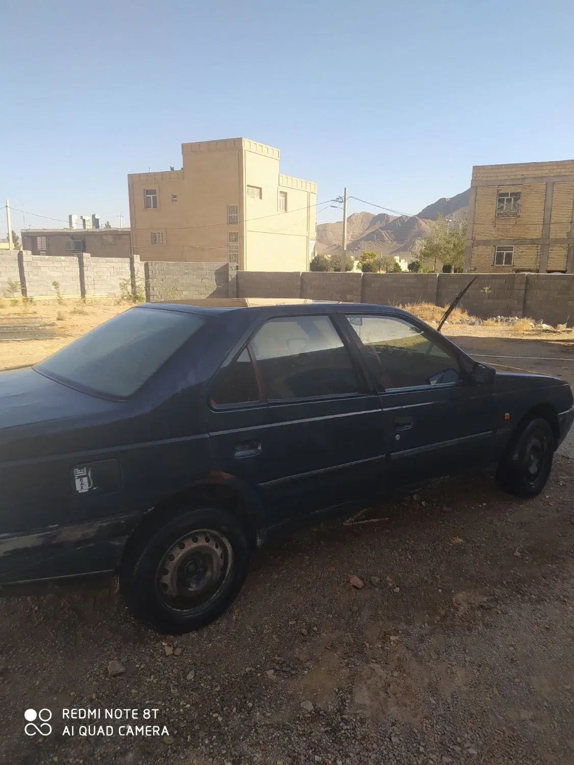 پژو آردی دوگانه سوز CNG - 1381