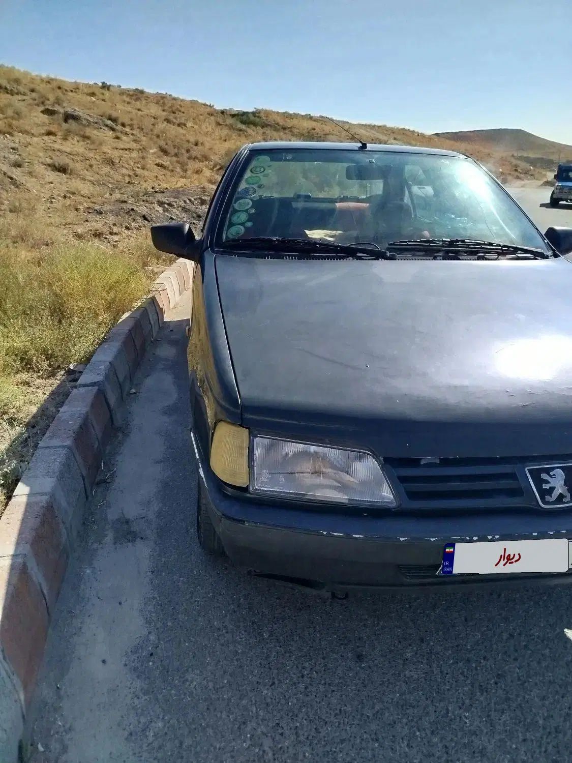 پژو آردی دوگانه سوز CNG - 1383