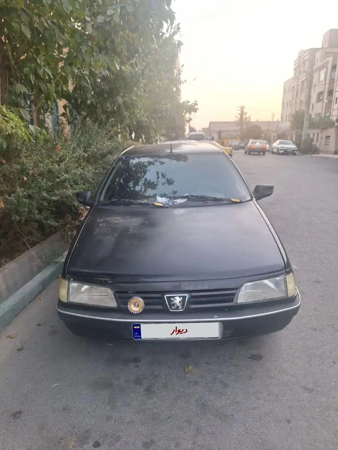 خودرو پژو، 405 آگهی ann_20312853