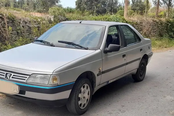 پژو 405 GLX - دوگانه سوز - 1389