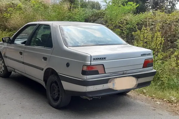 پژو 405 GLX - دوگانه سوز - 1389