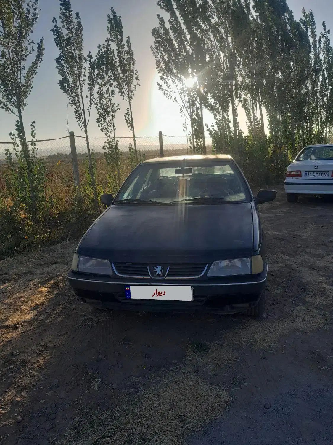 خودرو پژو، 405 آگهی ann_20313438
