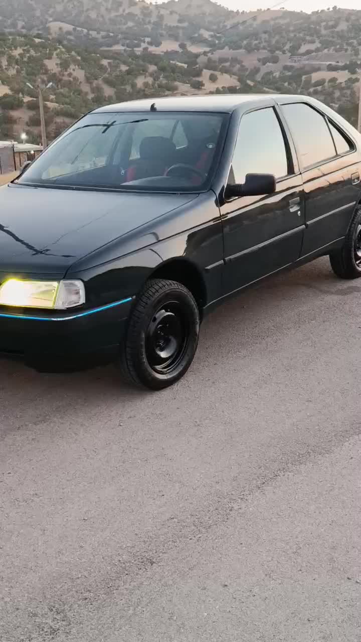 پژو 405 GLI - 1383