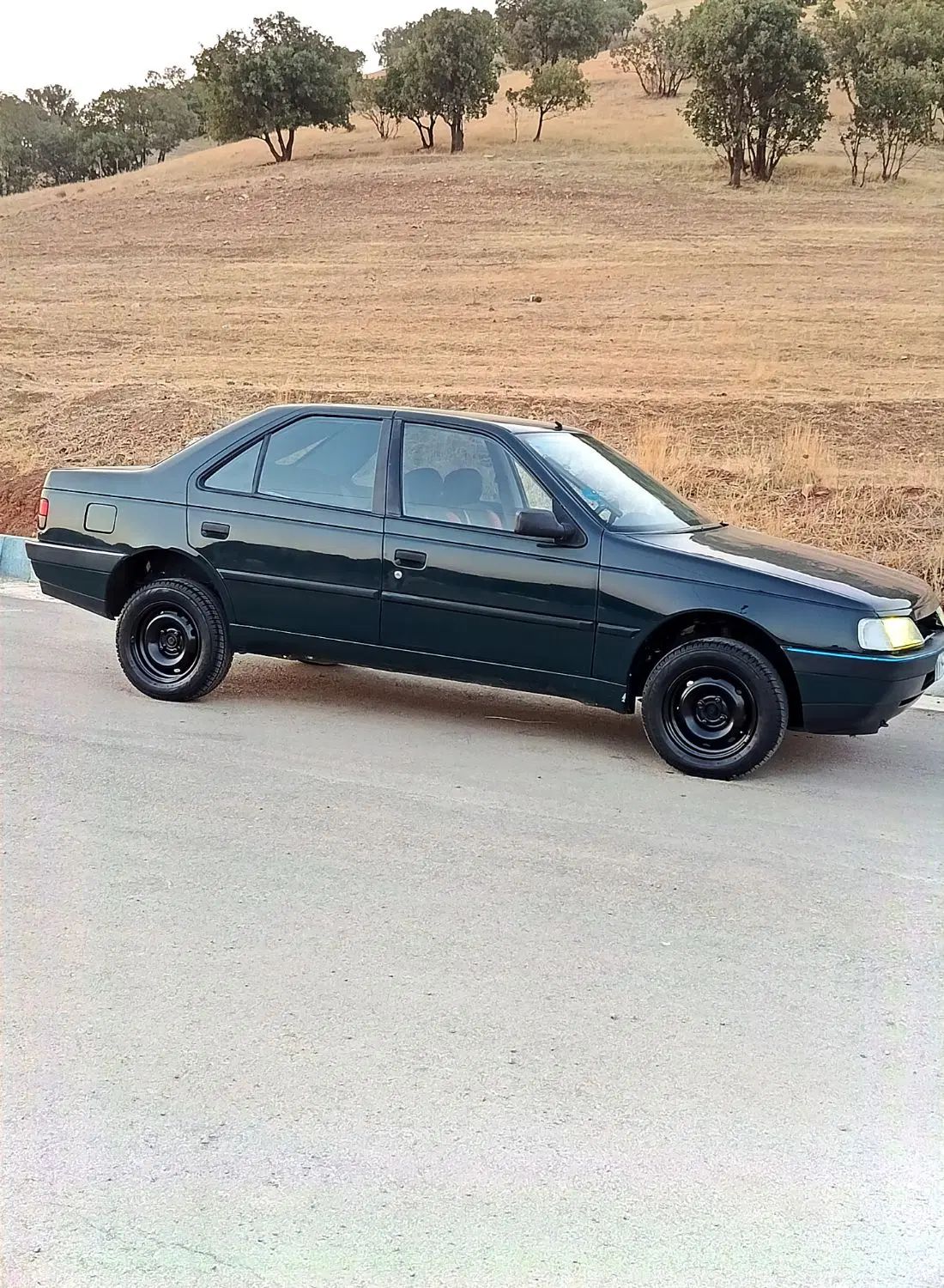 پژو 405 GLI - 1383