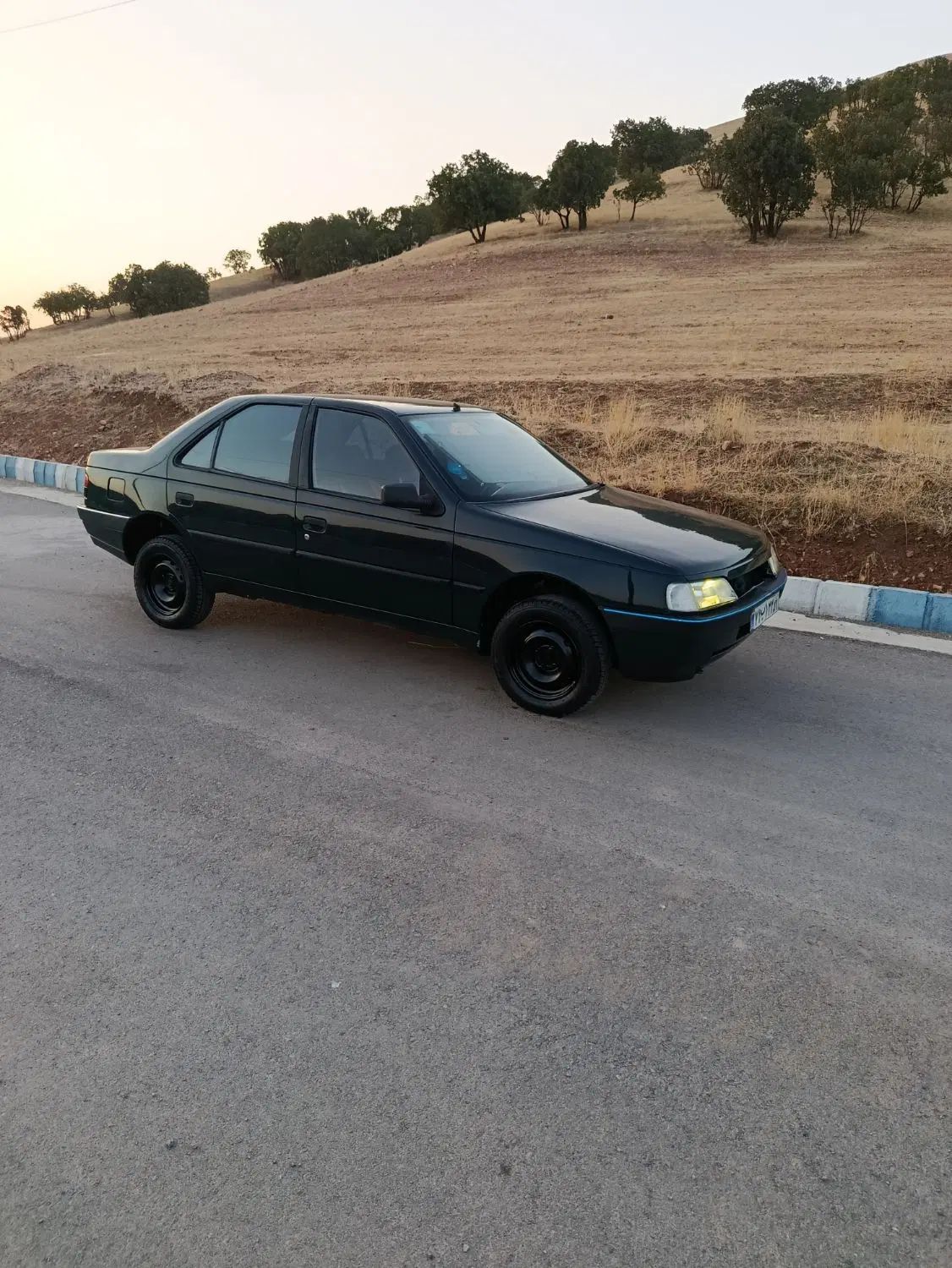 پژو 405 GLI - 1383