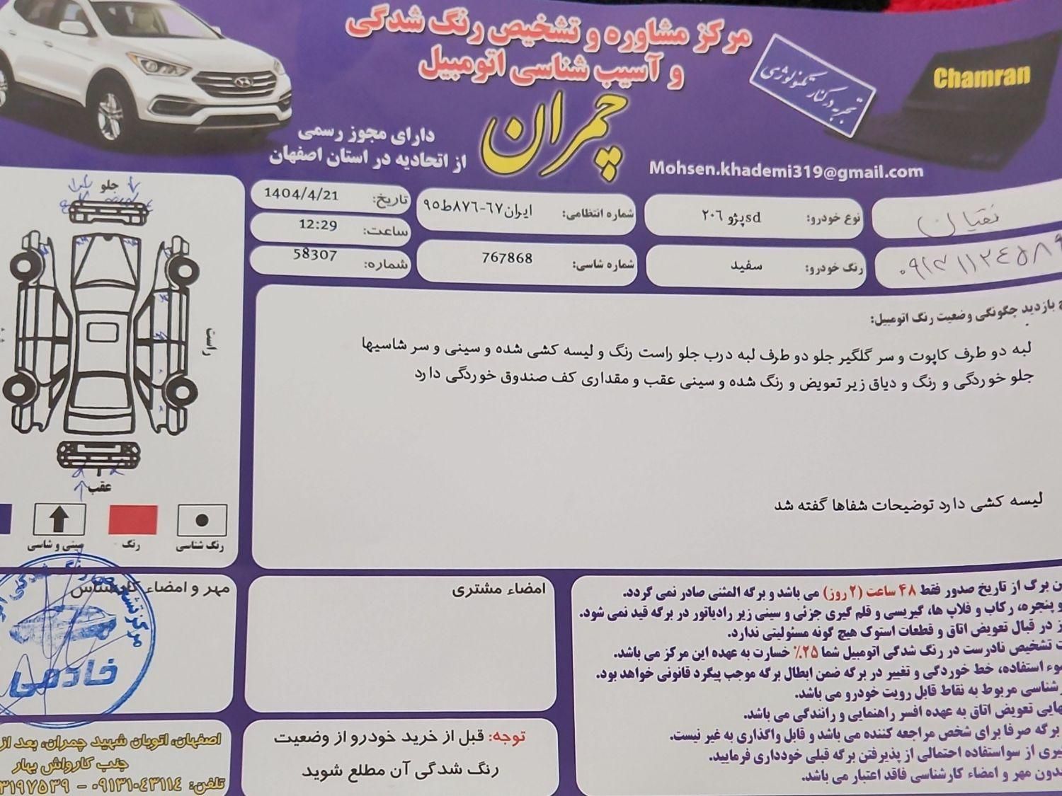 پژو 206 تیپ 5 - 1395