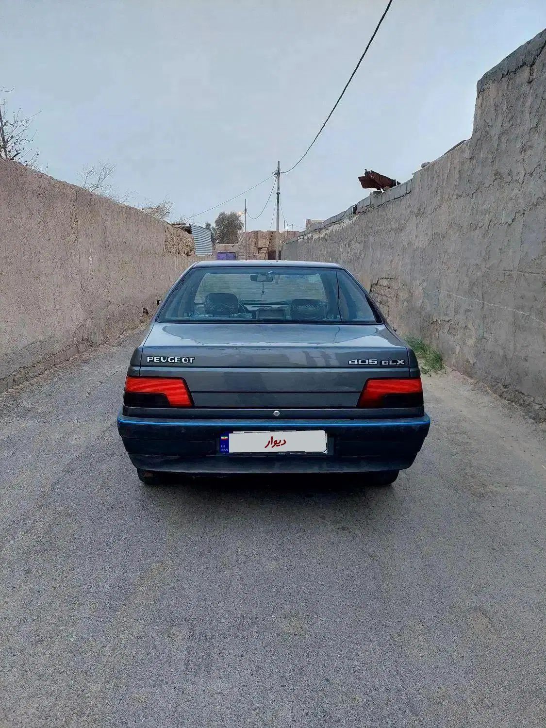 پژو 405 GLX - دوگانه سوز LPG - 1393