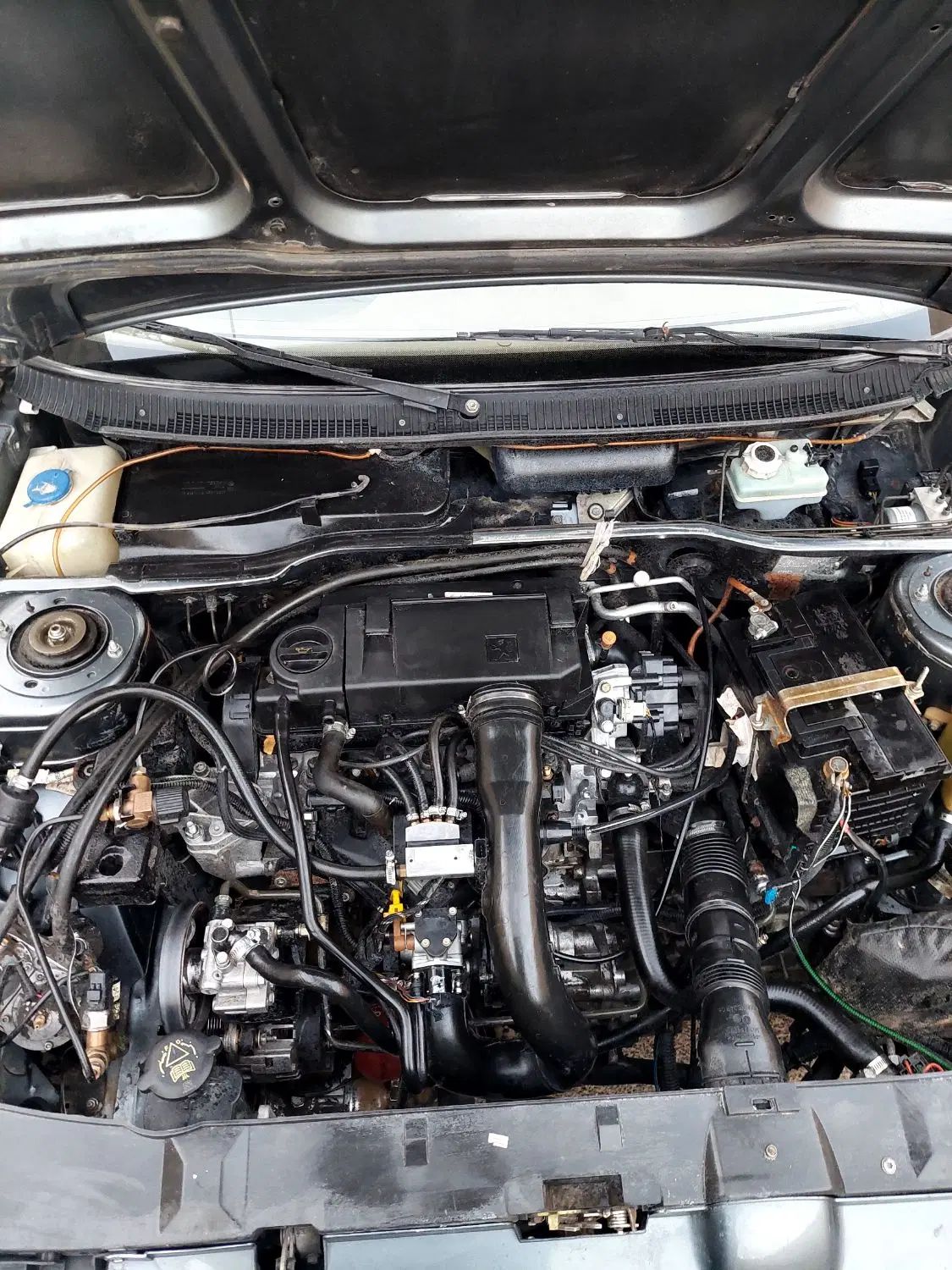 پژو 405 GLX - دوگانه سوز LPG - 1393