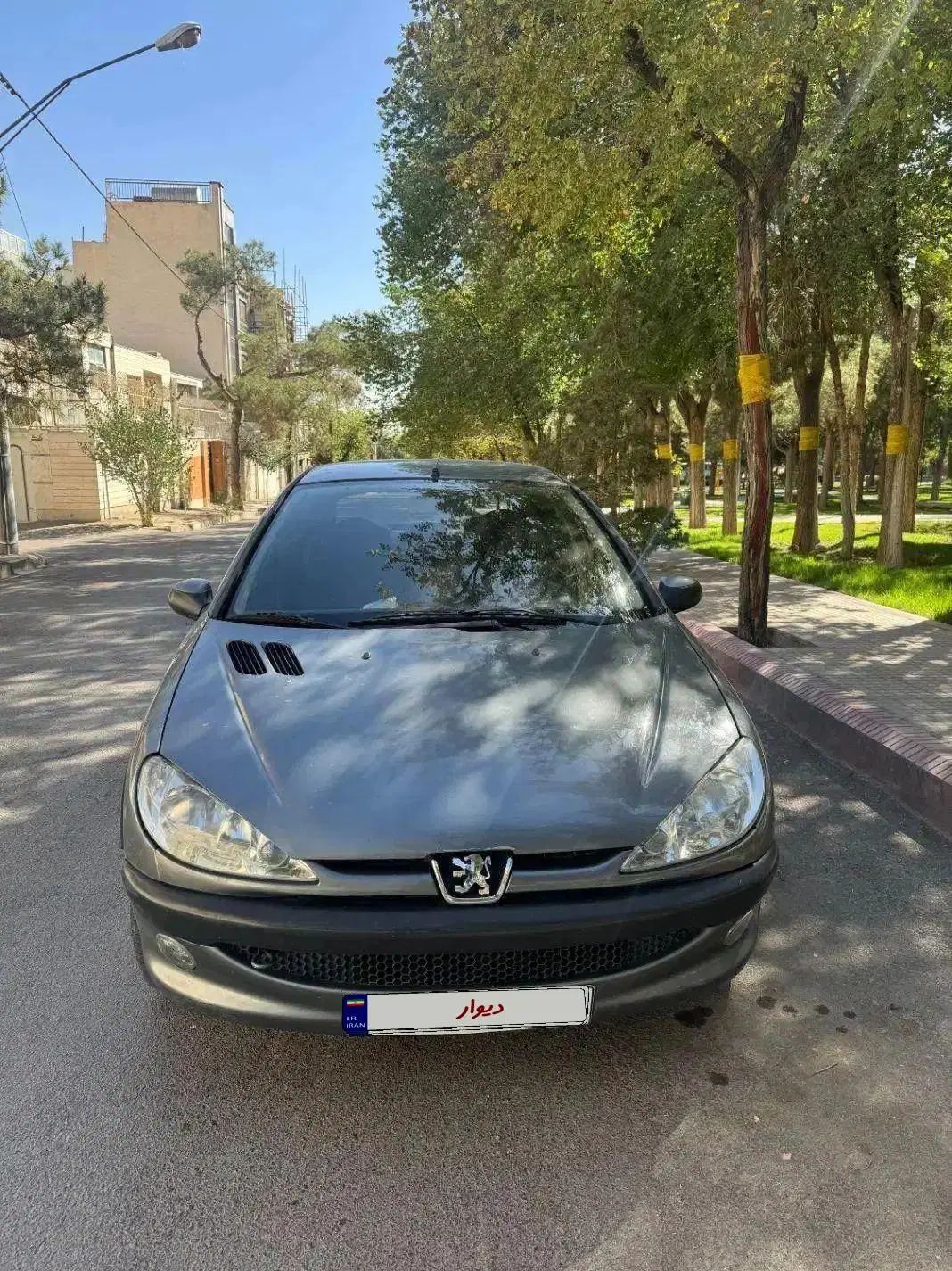 پژو 206 تیپ 5 - 1393