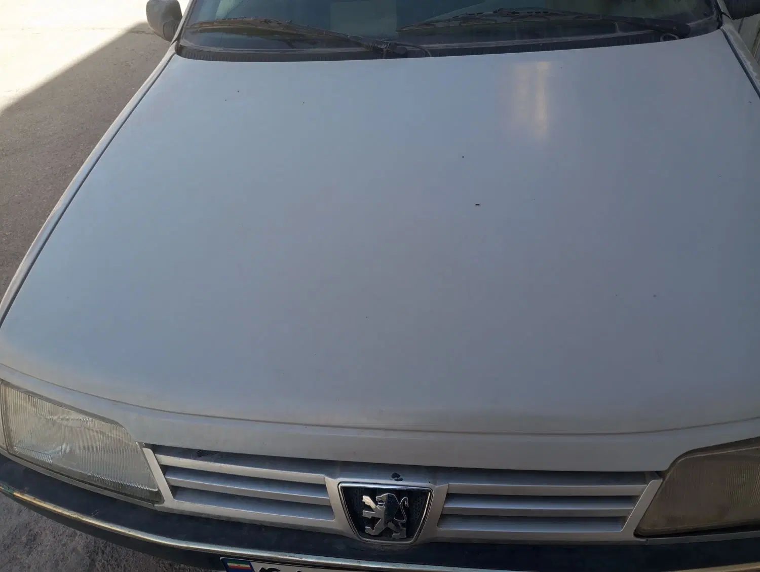 پژو 405 GLX - دوگانه سوز - 1389