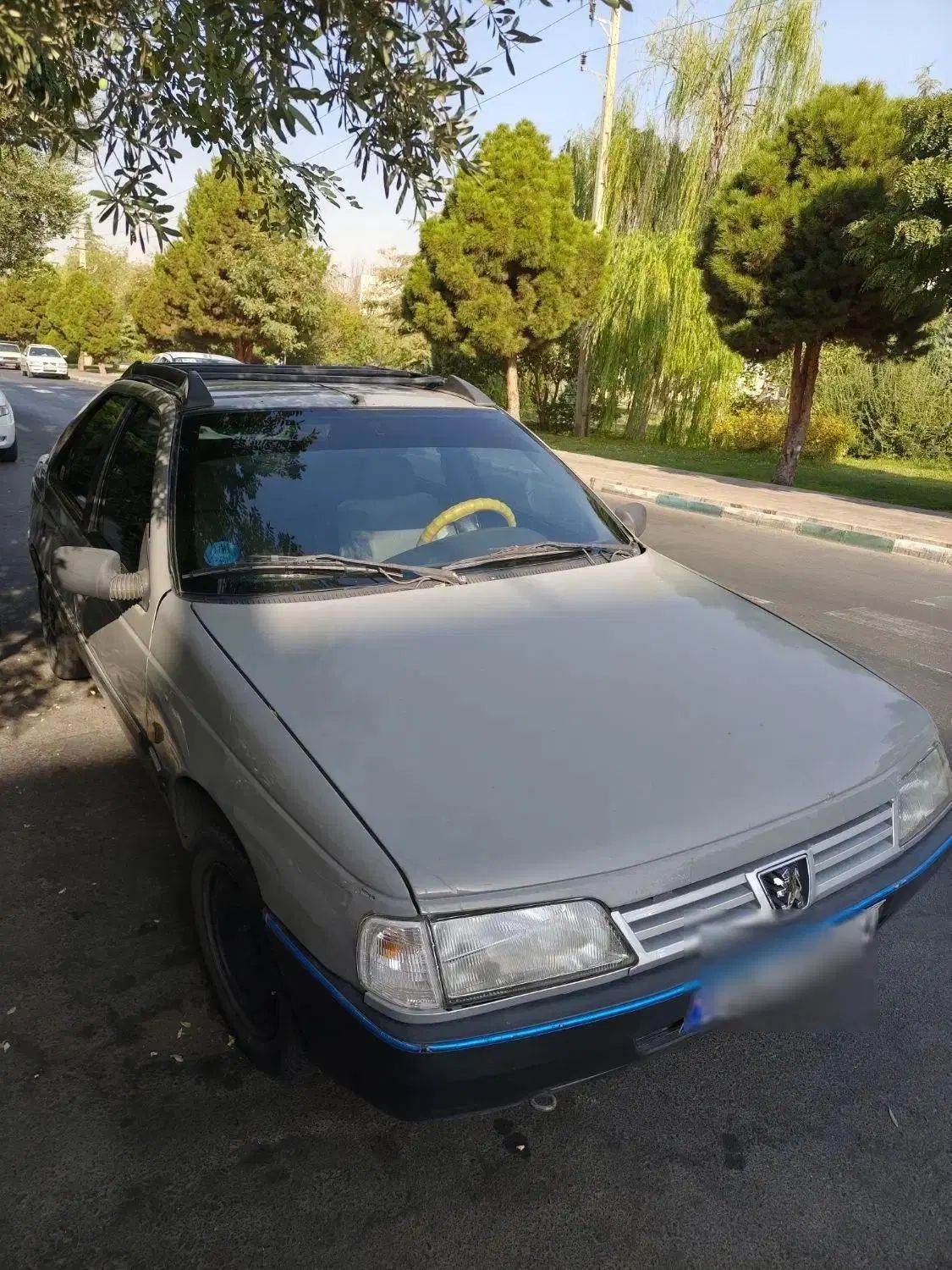 پژو آردی دوگانه سوز CNG - 1383