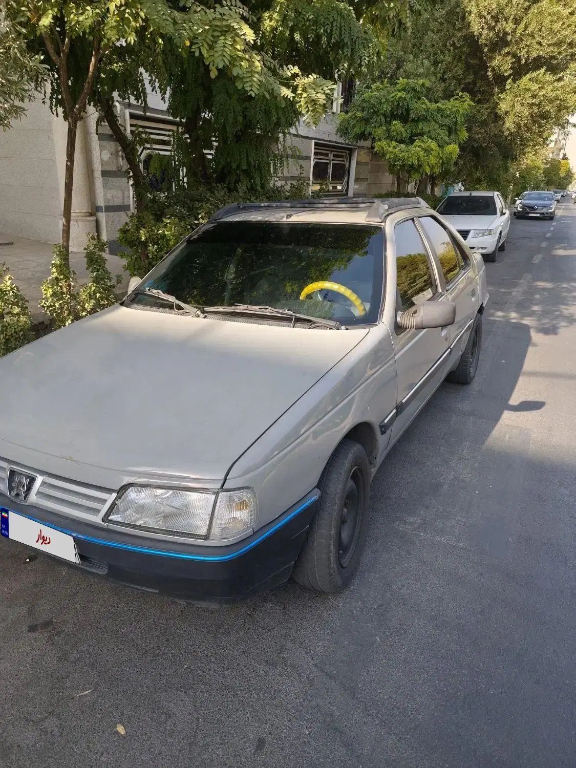 پژو آردی دوگانه سوز CNG - 1383