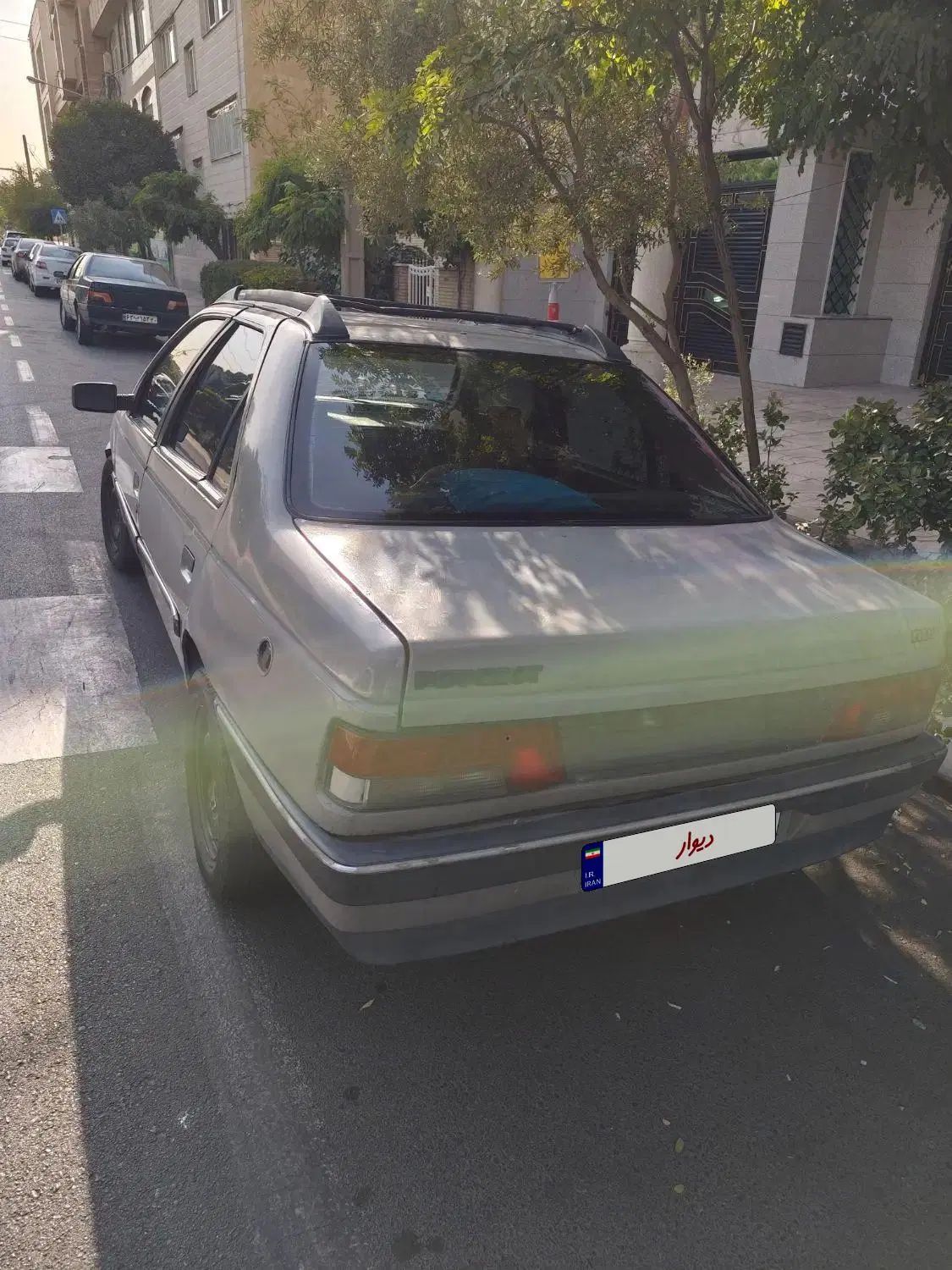 پژو آردی دوگانه سوز CNG - 1383