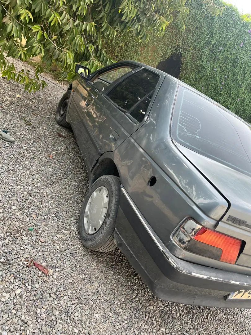 پژو 405 GL - دوگانه سوز CNG - 1379