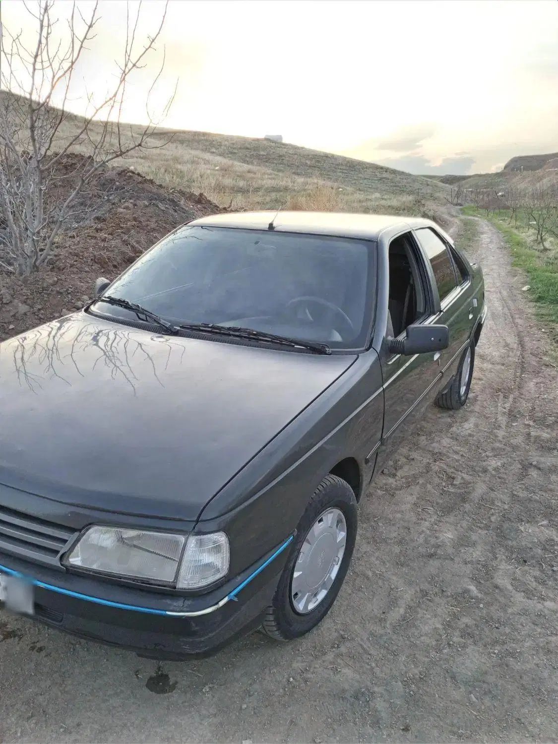 پژو 405 GLI - 1384