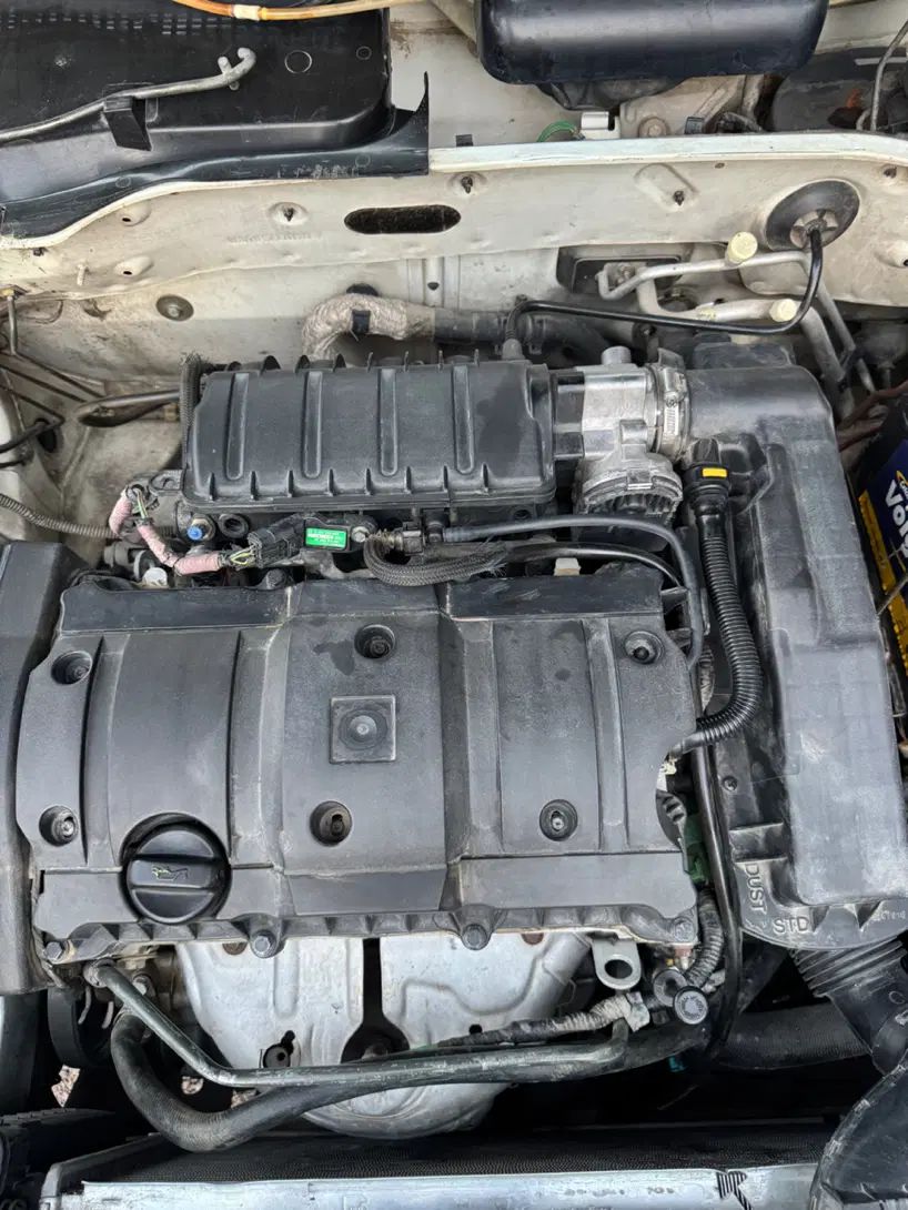 پژو 405 SLX بنزینی TU5 - 1391