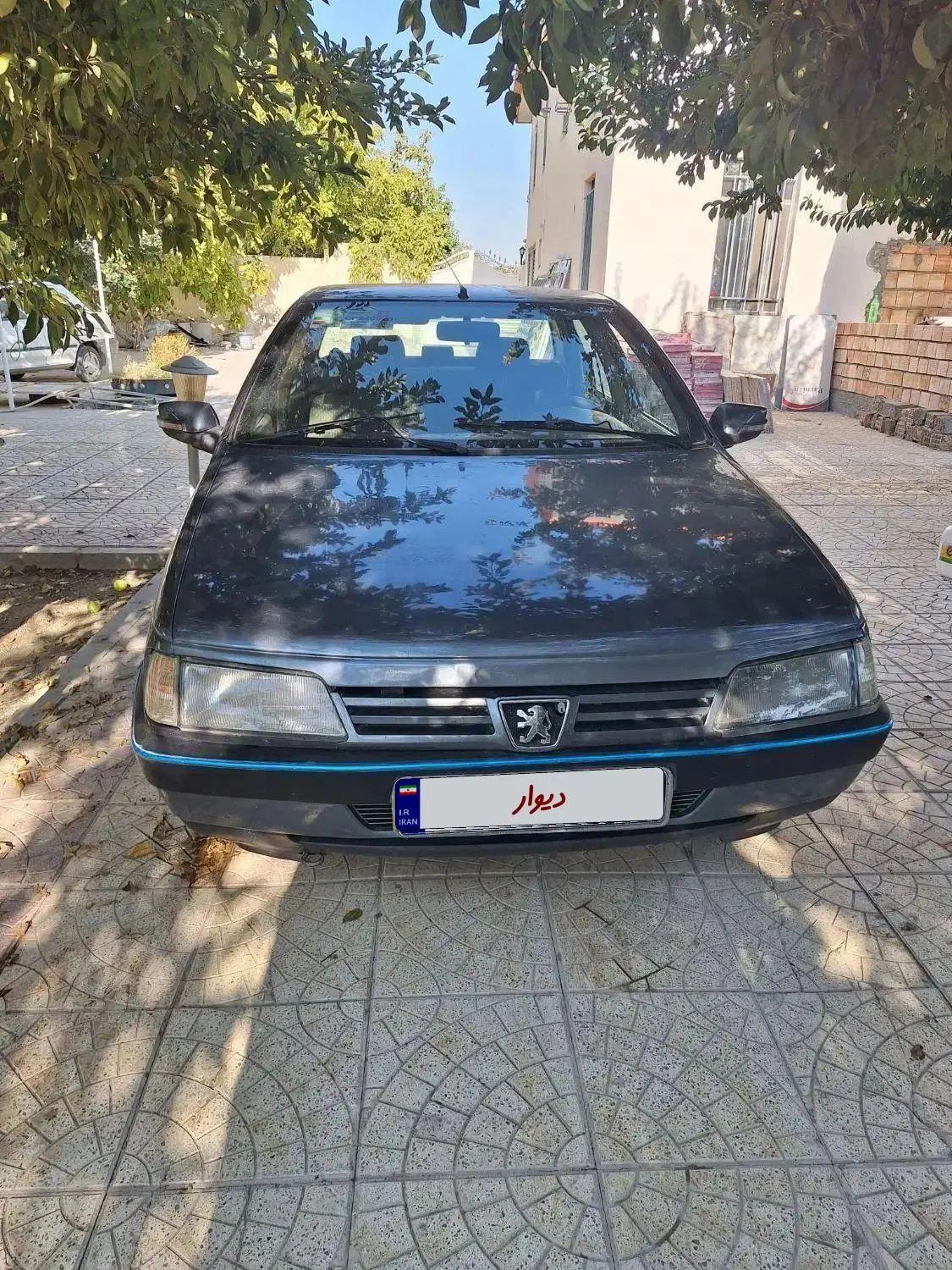 پژو 405 GLX - دوگانه سوز - 1393