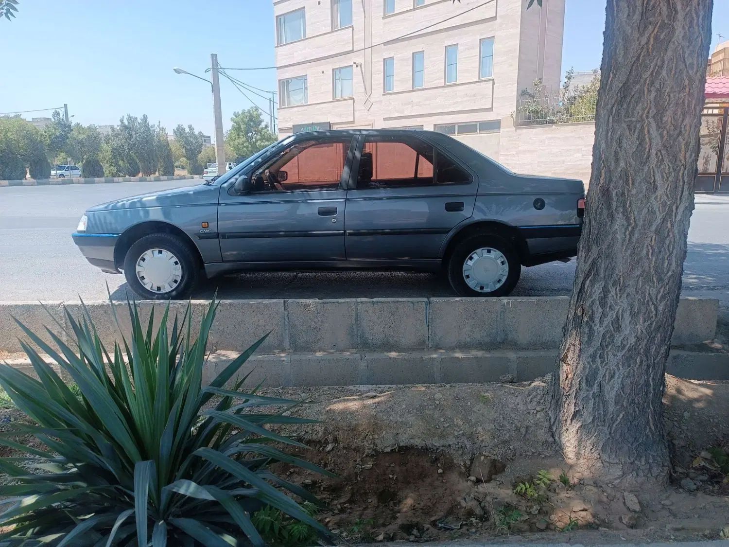 پژو 405 GLX - دوگانه سوز - 1396