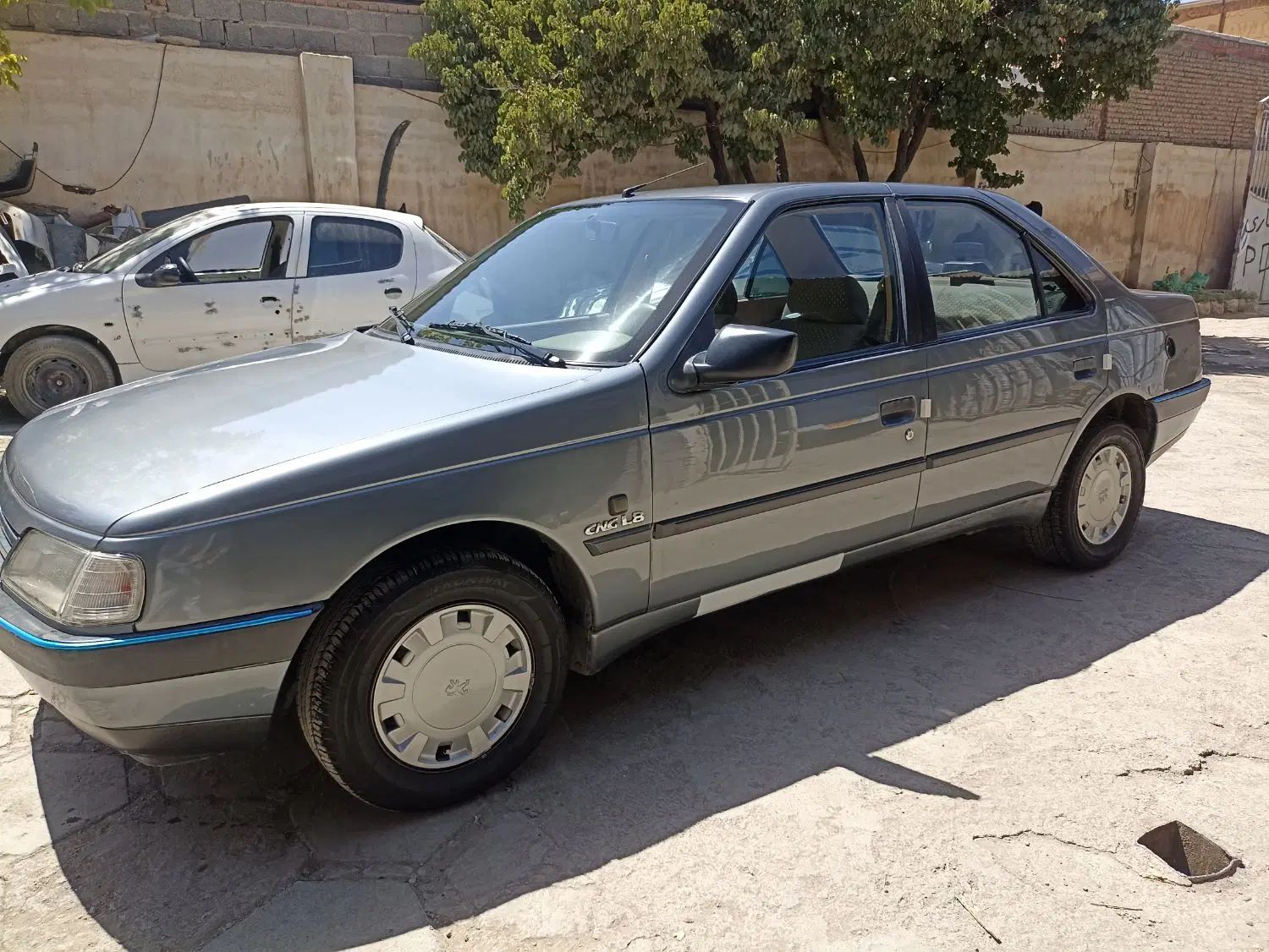 خودرو پژو، 405 آگهی ann_20322043
