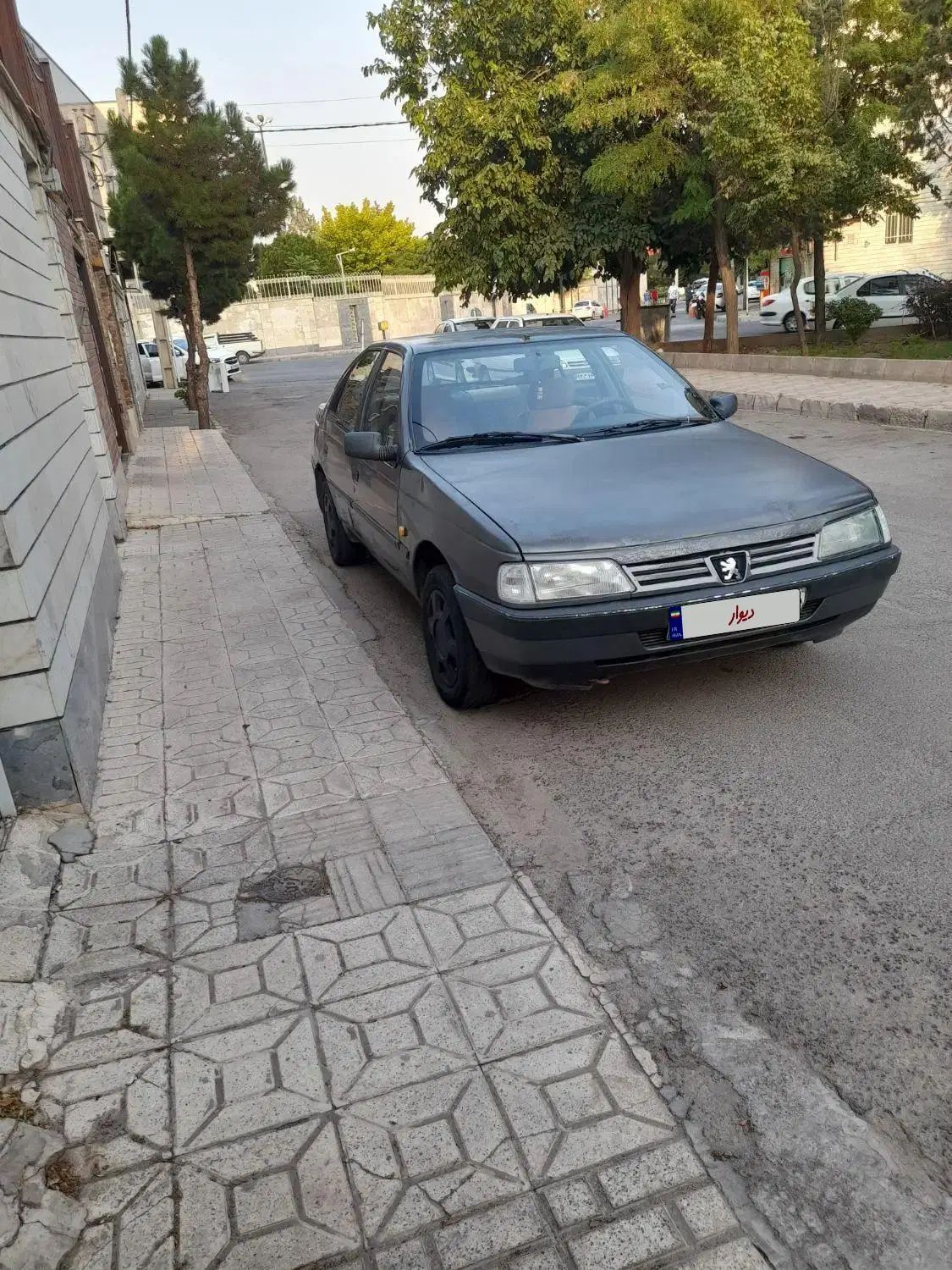 پژو روآ دوگانه سوز - 1388