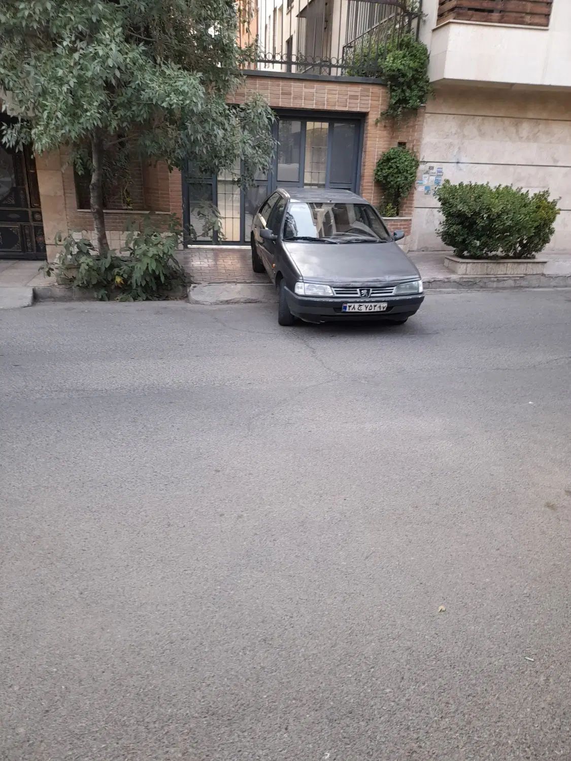 پژو روآ دوگانه سوز - 1388