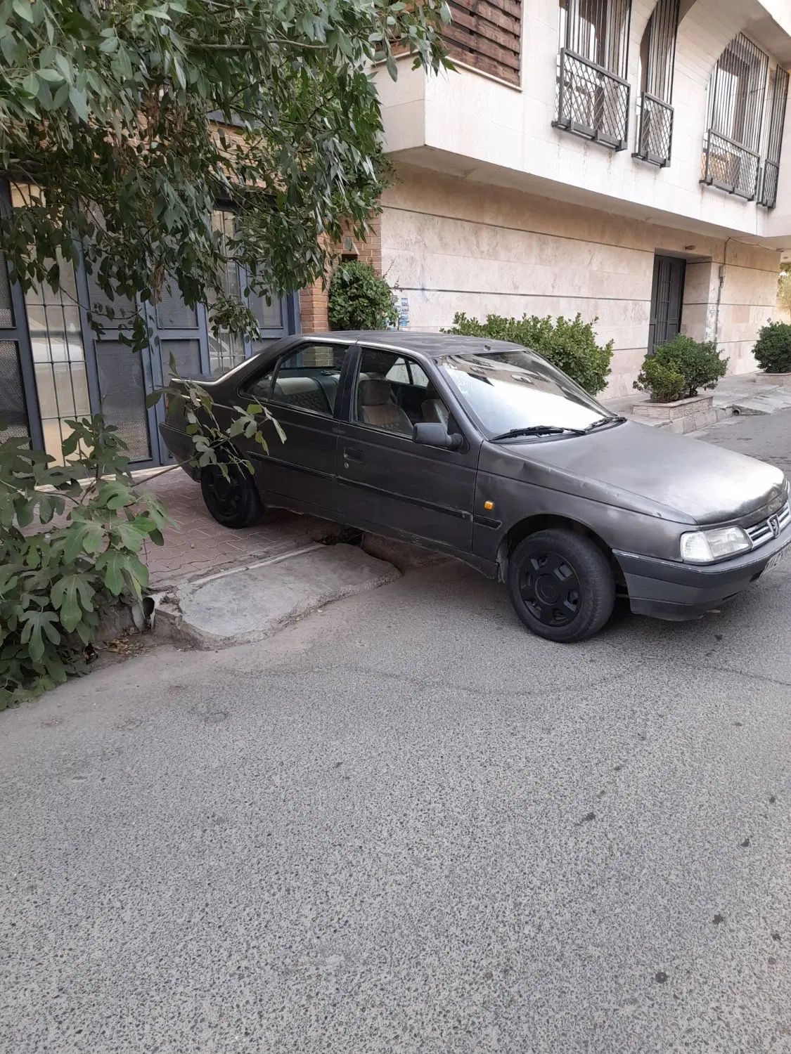 پژو روآ دوگانه سوز - 1388