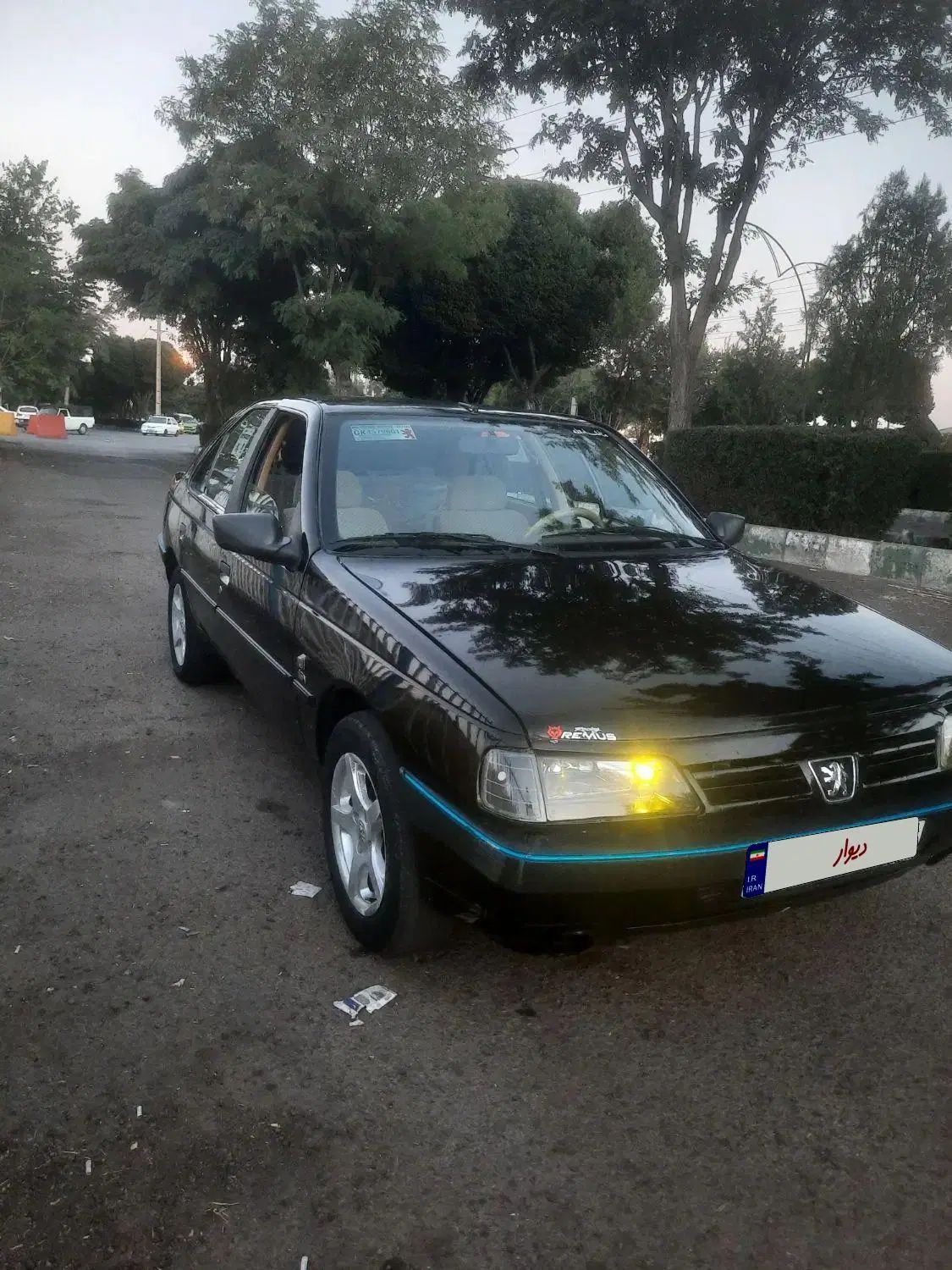 پژو 405 GLX - دوگانه سوز - 1389