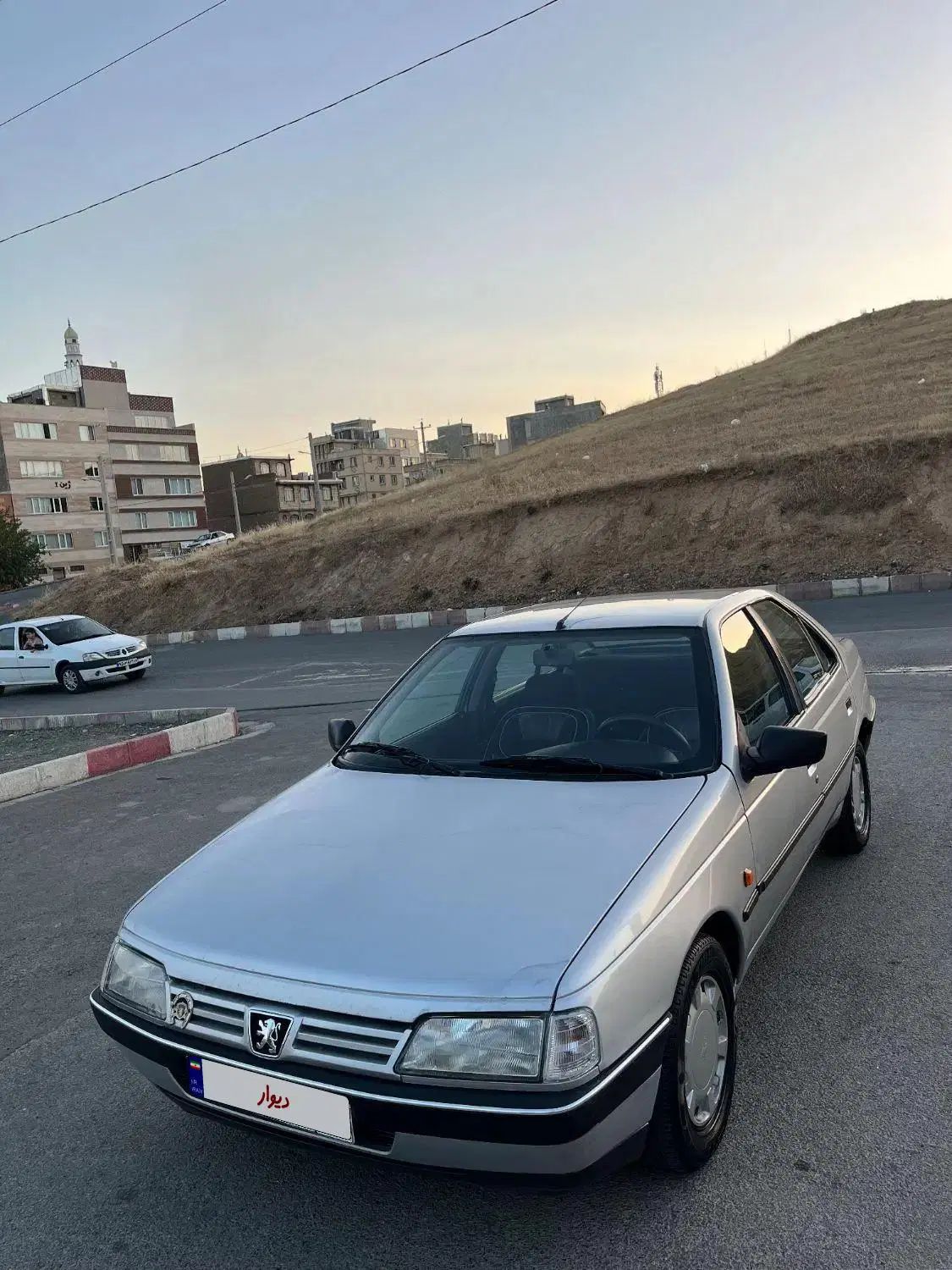 پژو 405 GLX - دوگانه سوز - 1386