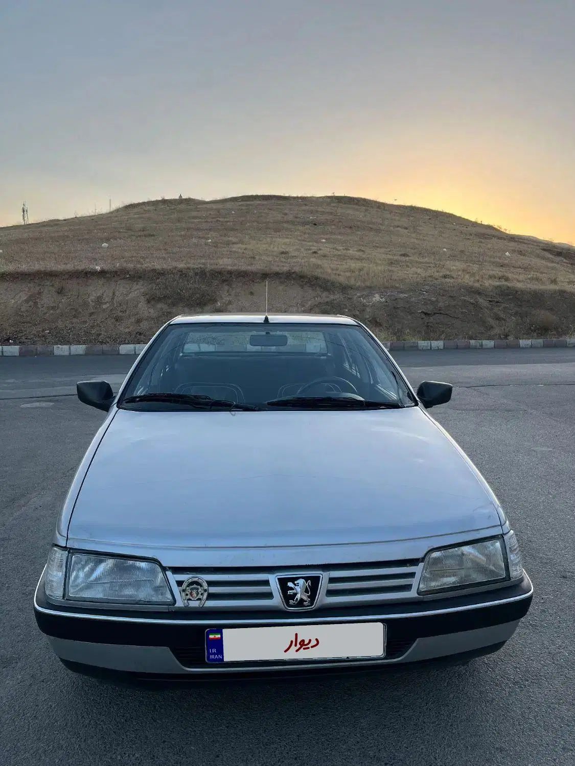 پژو 405 GLX - دوگانه سوز - 1386