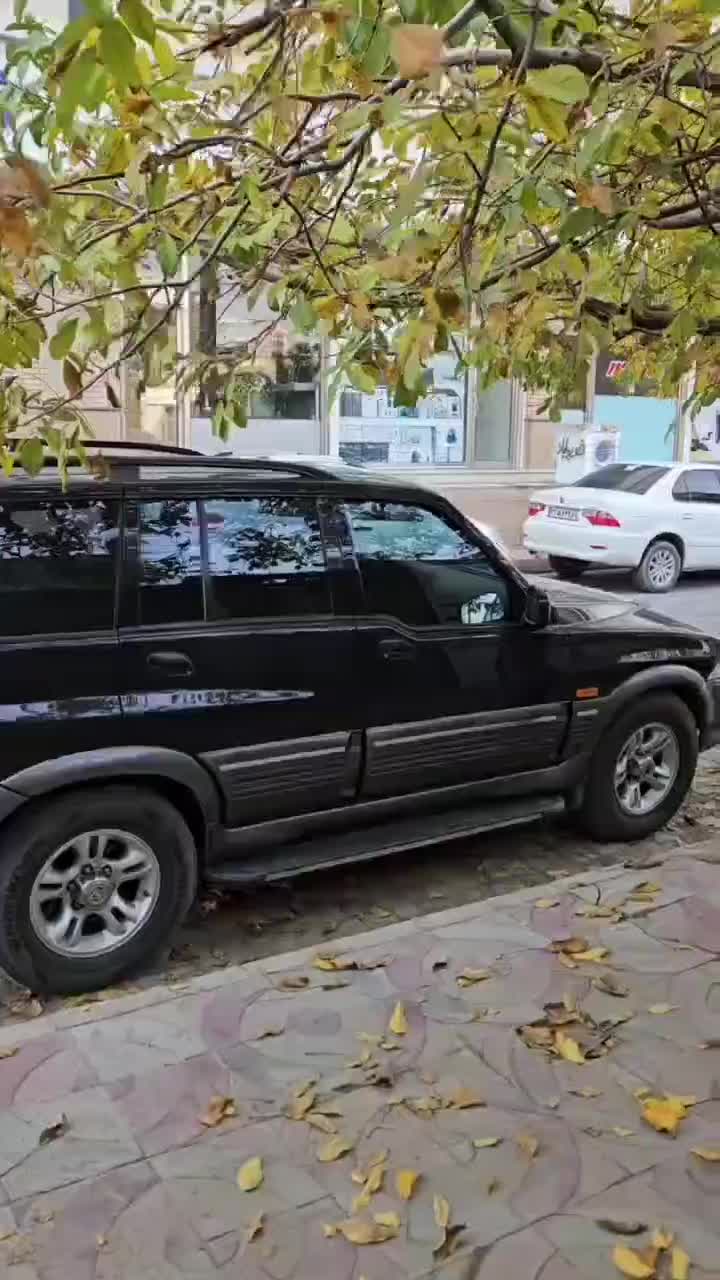خودرو سانگ یانگ، موسو آگهی ann_20325348