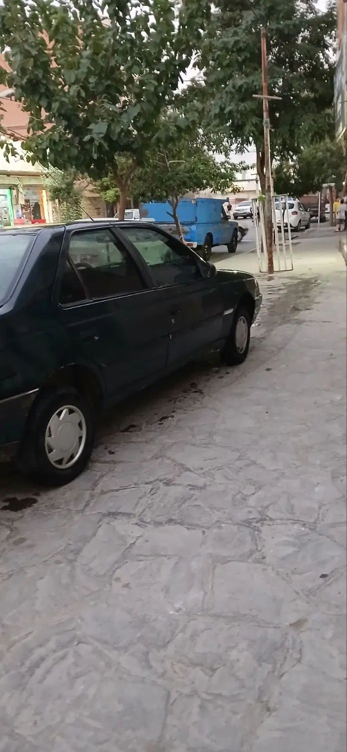 پژو آردی دوگانه سوز CNG - 1381