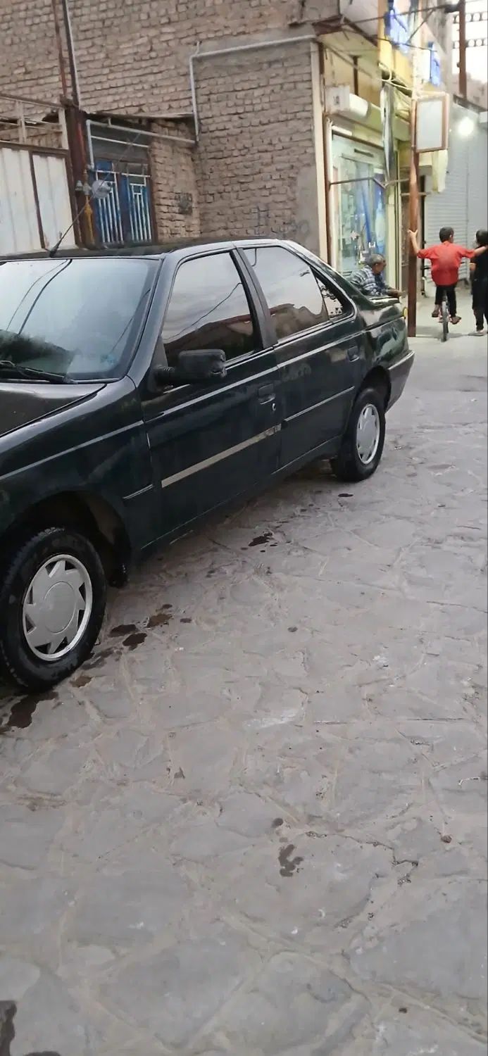 پژو آردی دوگانه سوز CNG - 1381