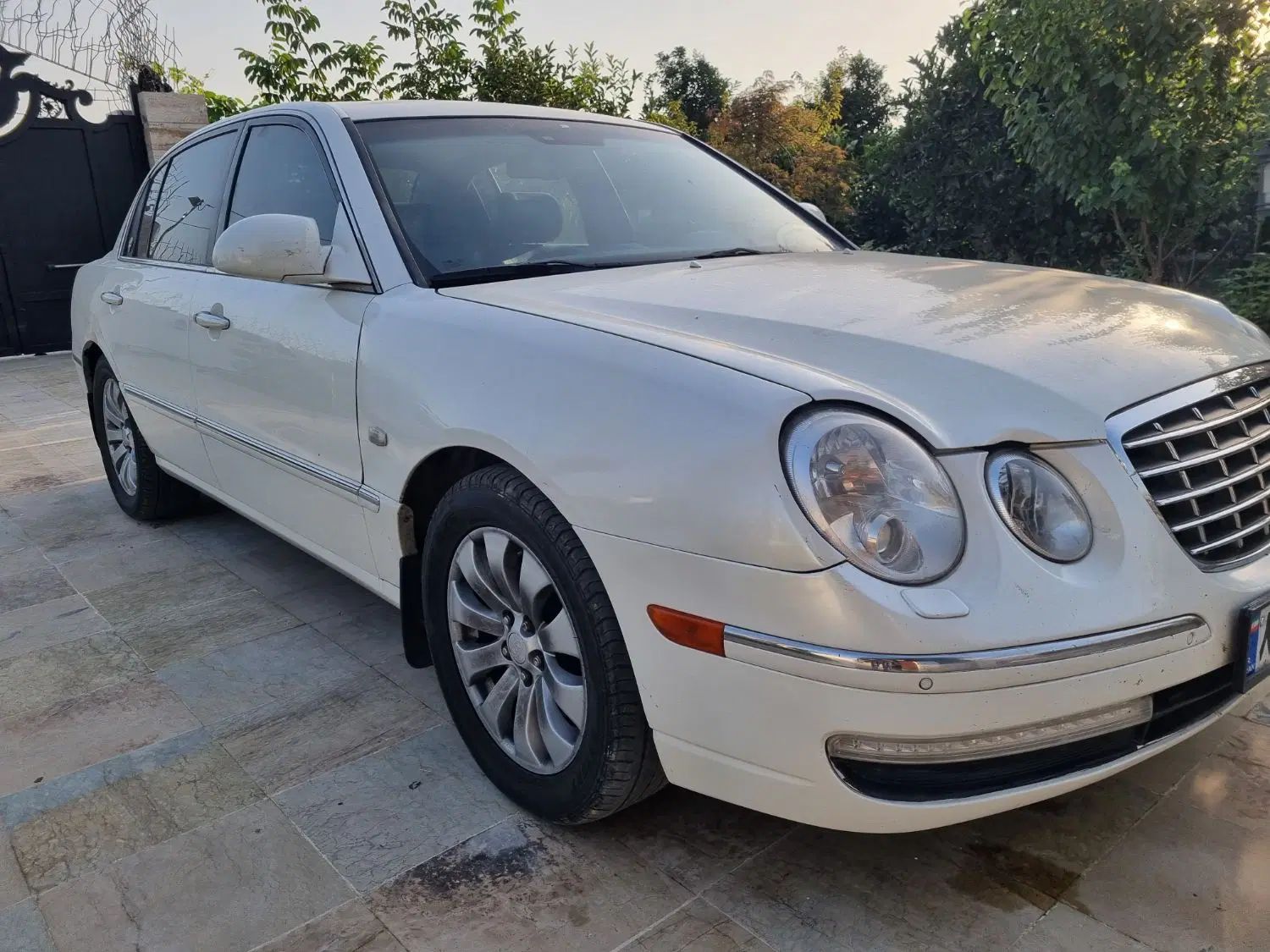 کیا اپیروس رویال - 2009