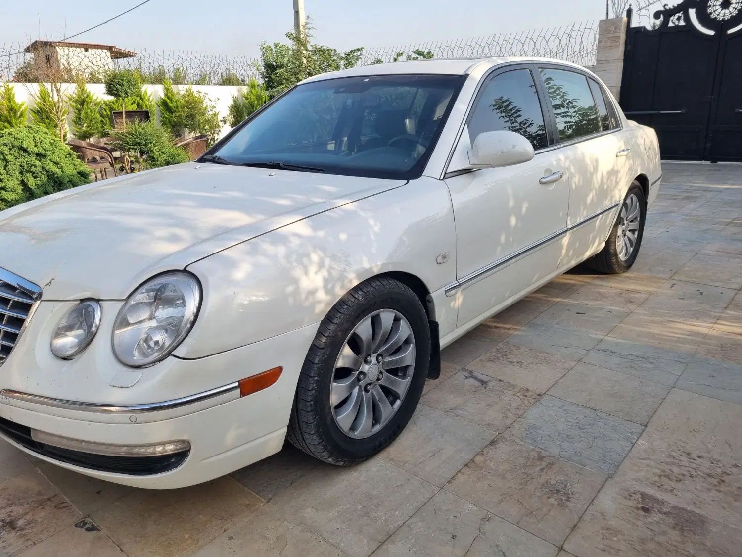 کیا اپیروس رویال - 2009