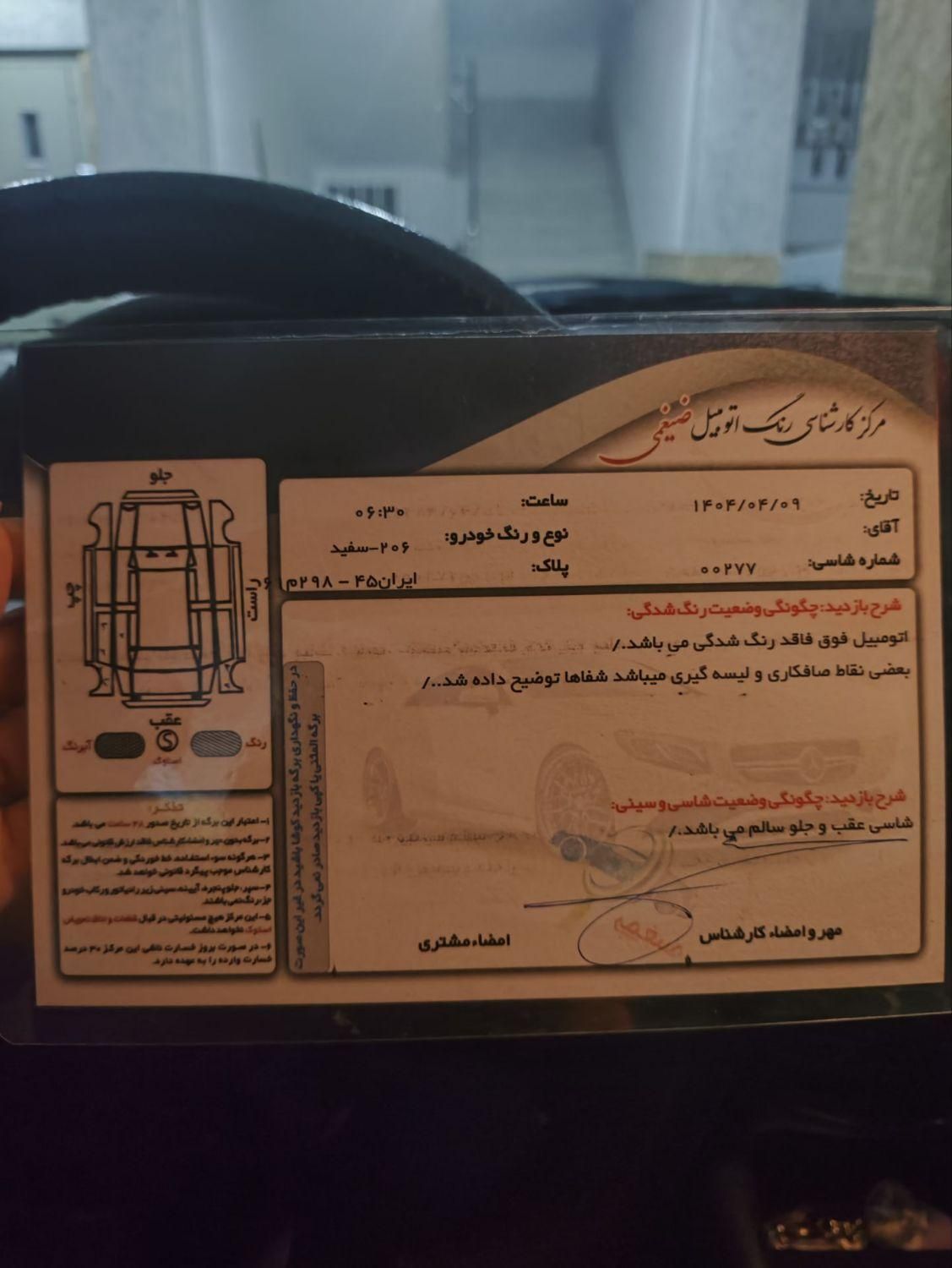 پژو 206 تیپ 3 - 1391