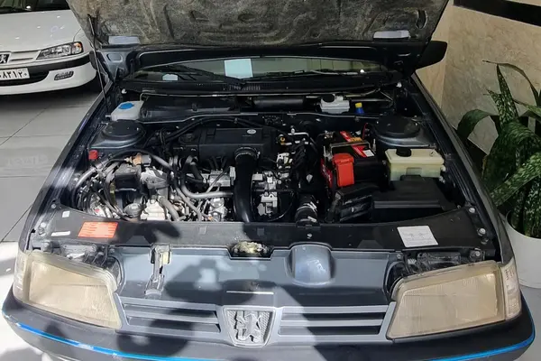 پژو 405 GLX - دوگانه سوز - 1399