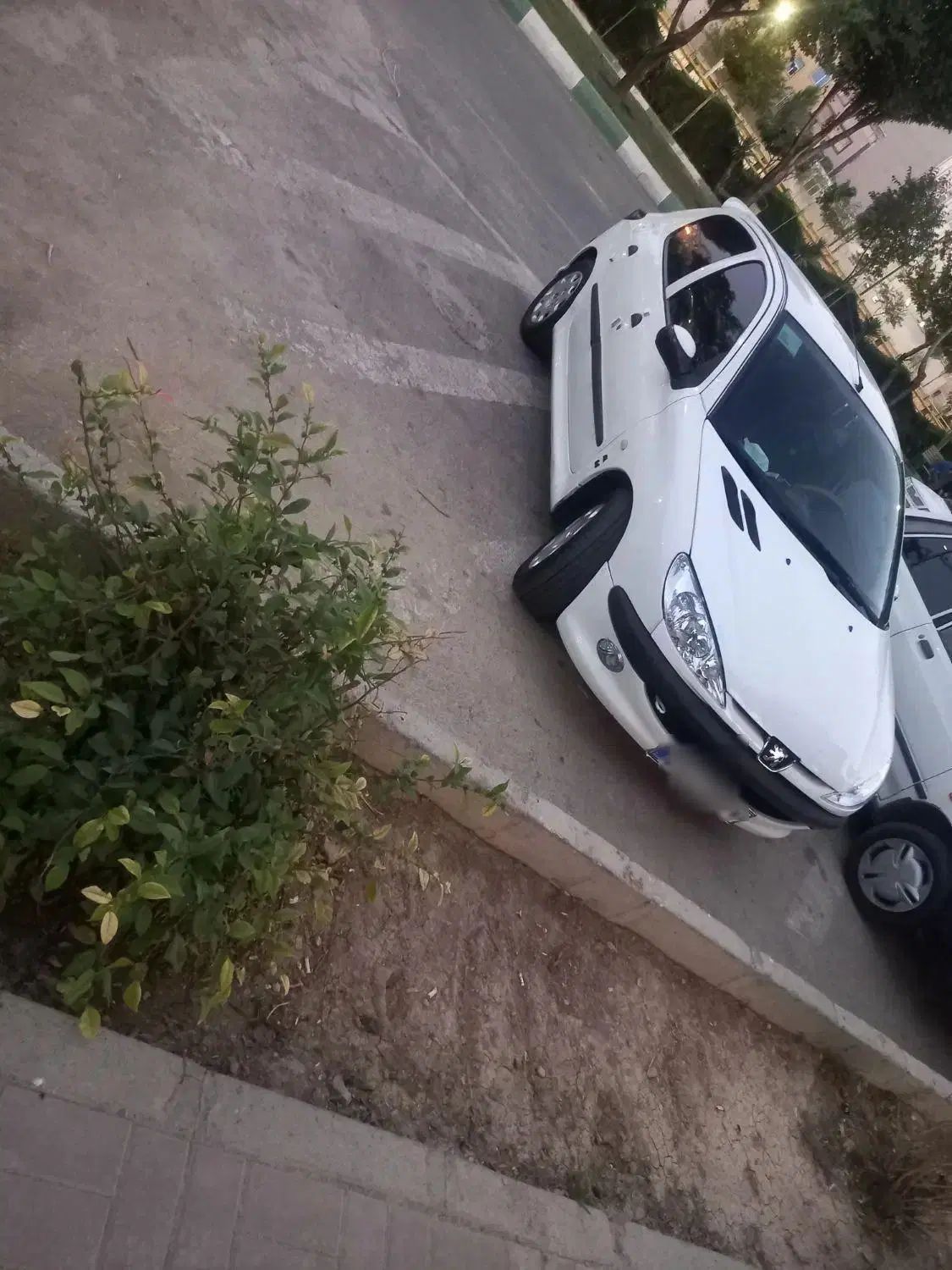 خودرو پژو، 206 آگهی ann_20329411