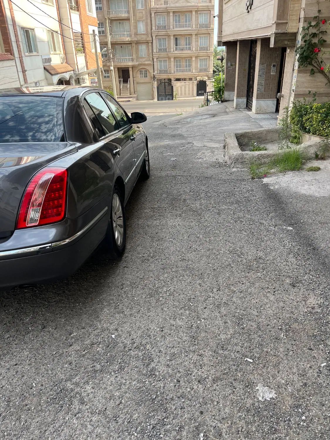 کیا اپیروس رویال - 2009