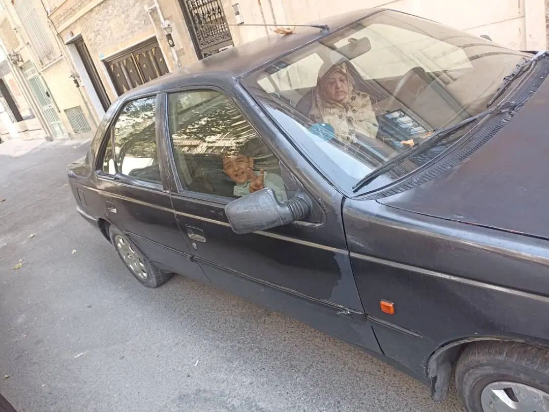 پژو 405 GLX - 1385